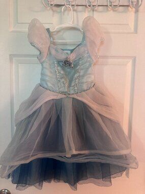 Disney Cinderella Costume
